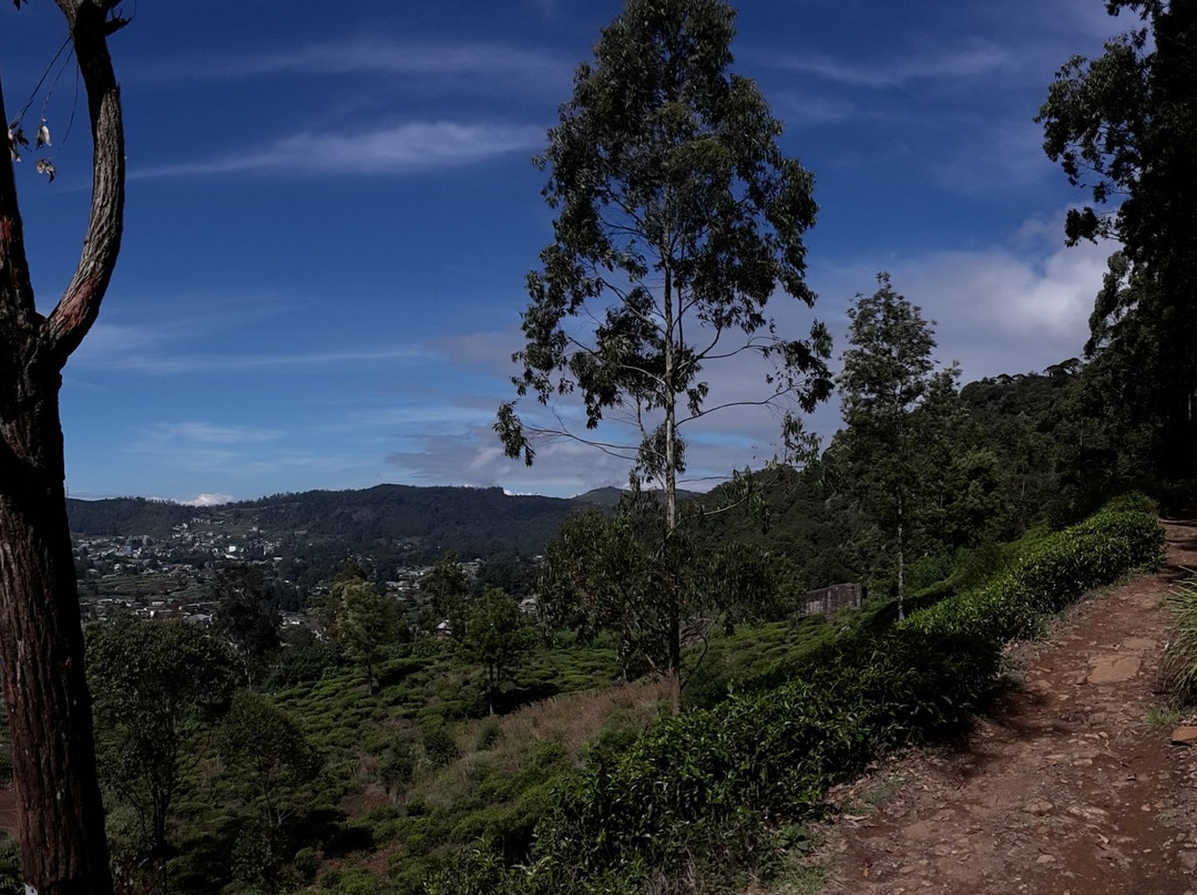 The Paul Wood Cabana主图