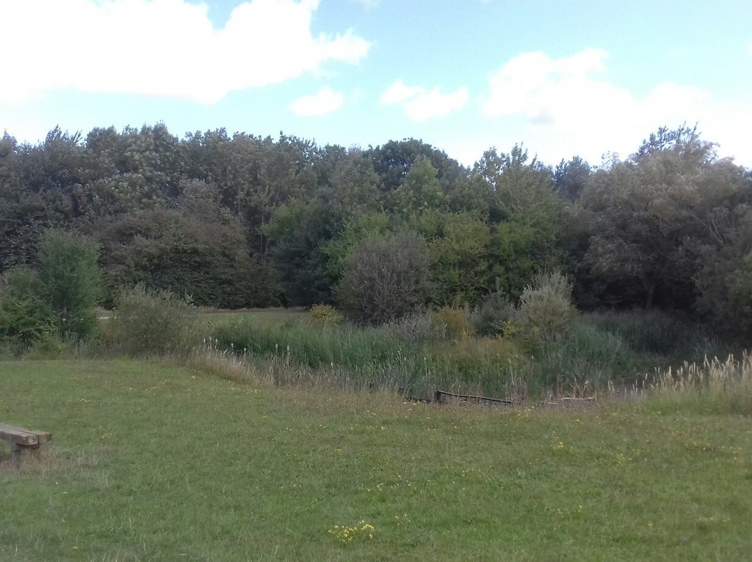 Crown Lakes Country Park景点图片