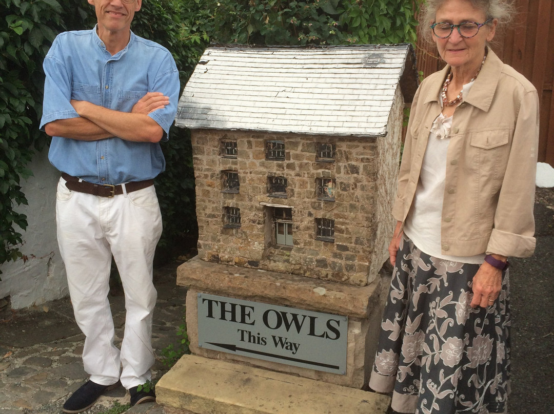 The Owls主图