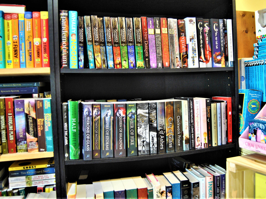 Barrel of Books and Games-Mount Dora必去景点