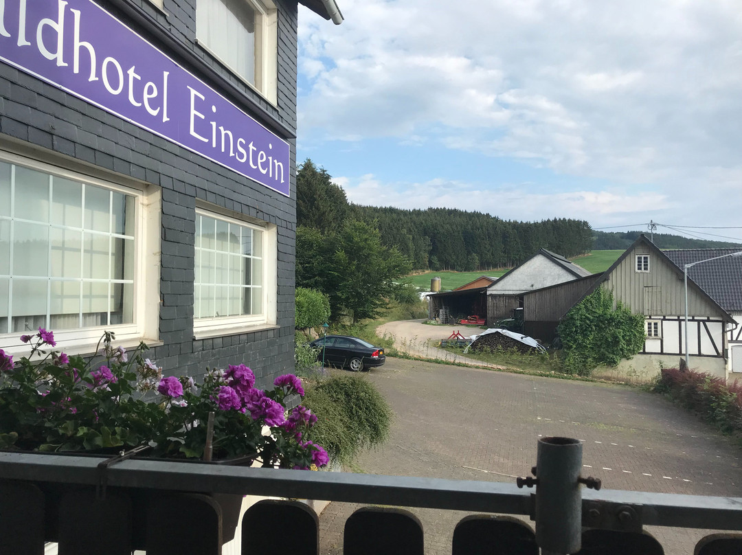 Waldhotel Einstein主图