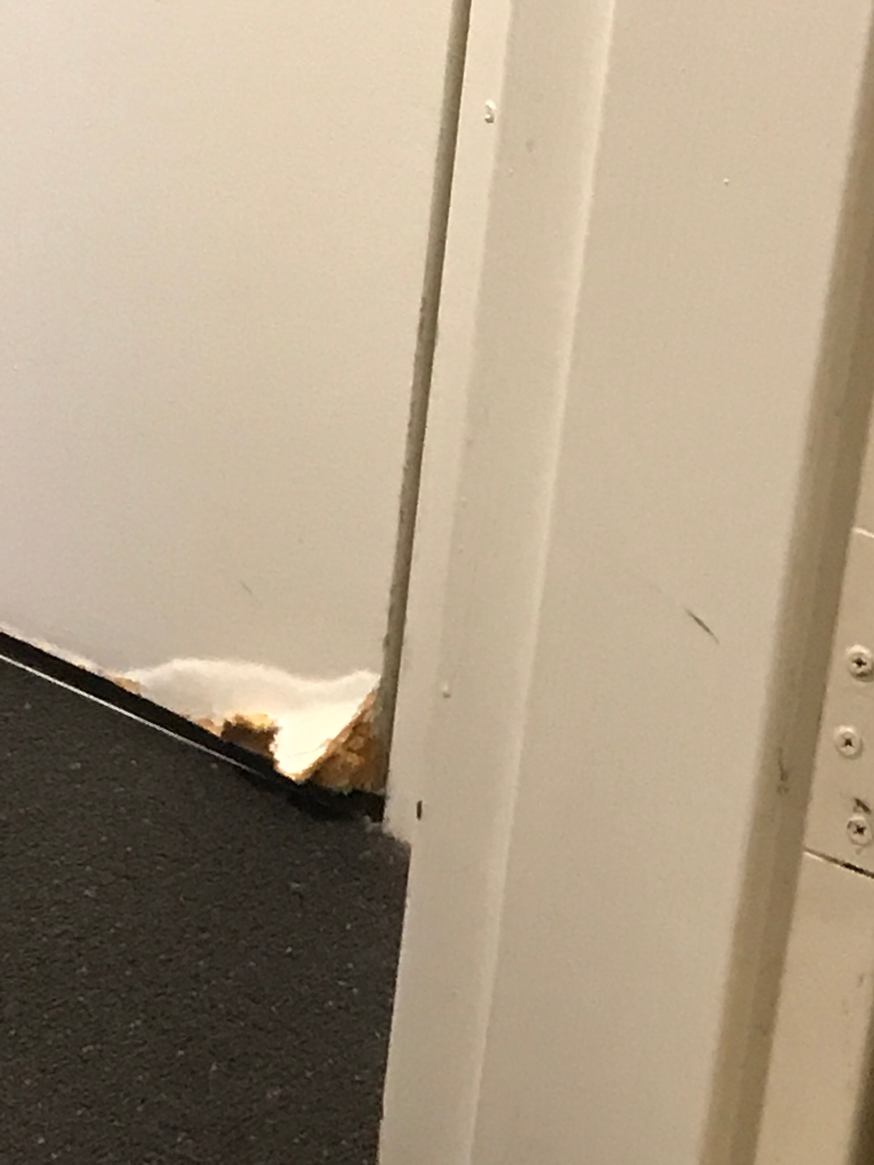 珀斯穆瑞街酒店-官方