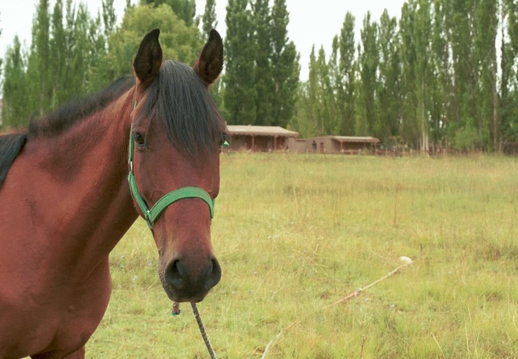 Posada San Eduardo主图