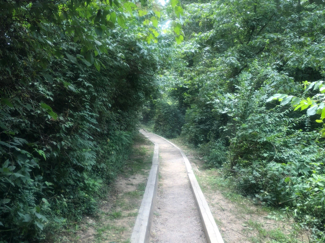 Roubidoux Creek & Spring-Waynesville必去景点