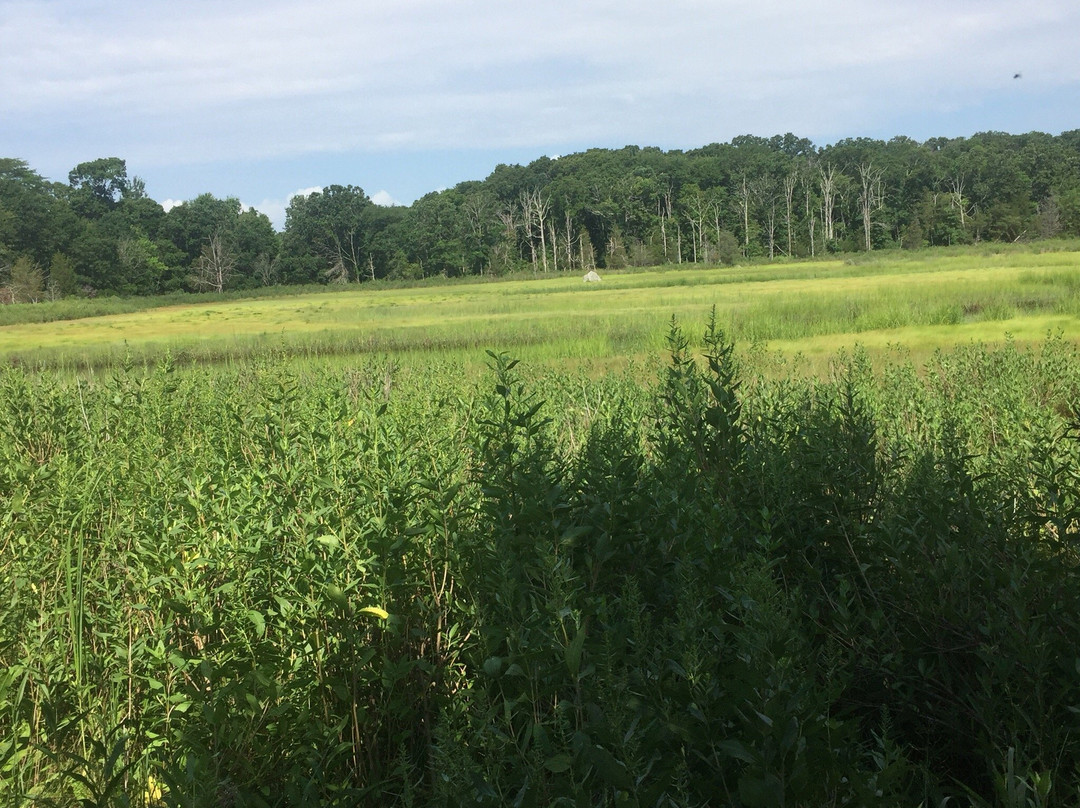 Warren旅游攻略图片