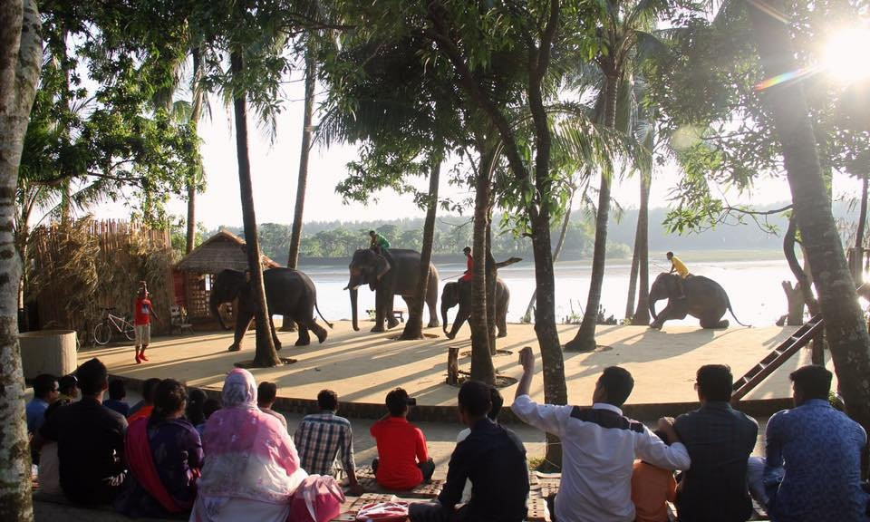 Elephant Show景点图片