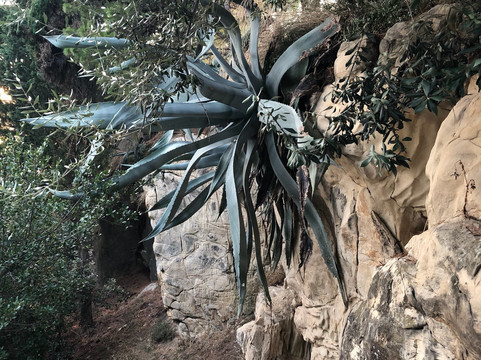 Rab-Maman trail-Rab Town必去景点