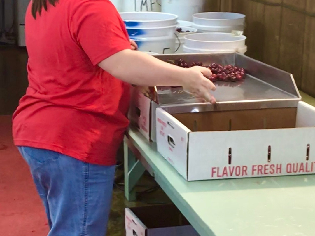 Tree-Mendus Fruit-Eau Claire必去景点