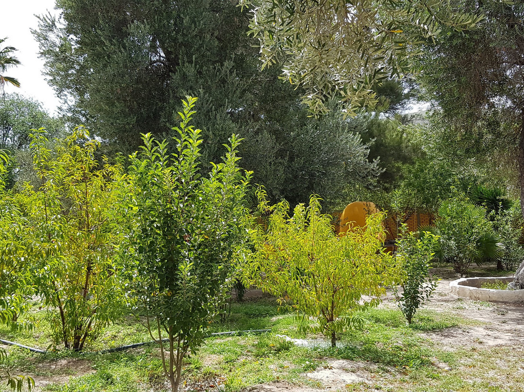 Hotel Quinta San Jorge主图