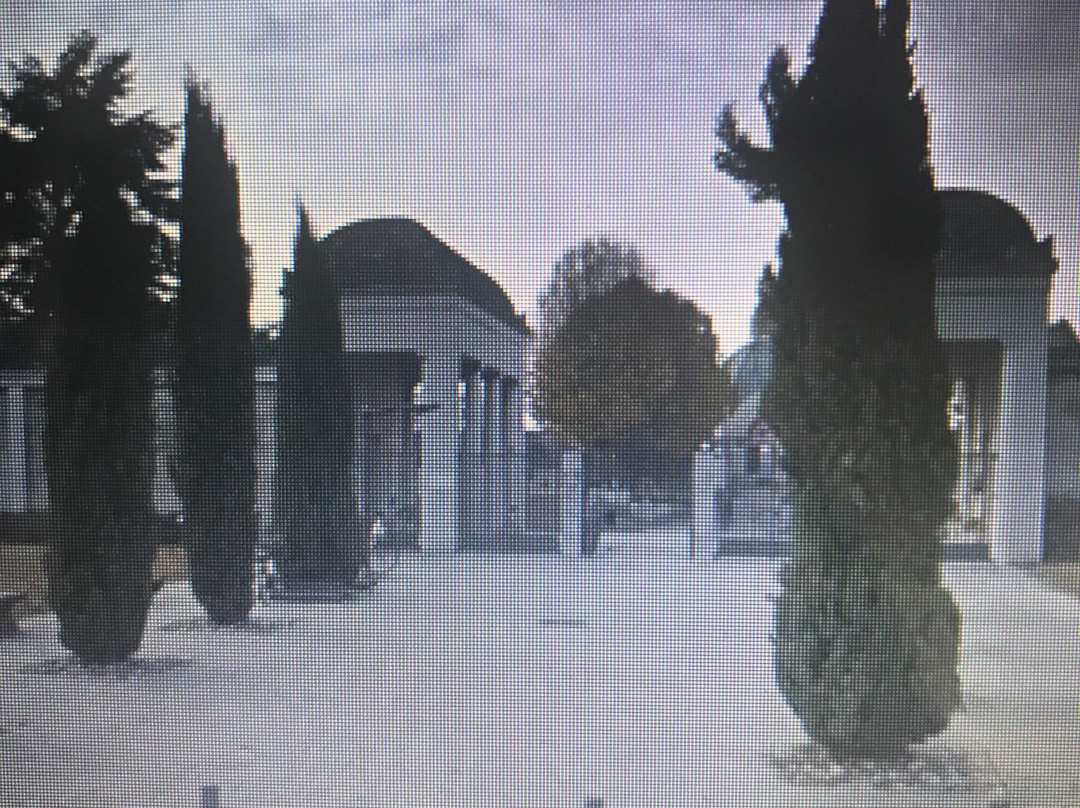 Cimitero Comunale景点图片