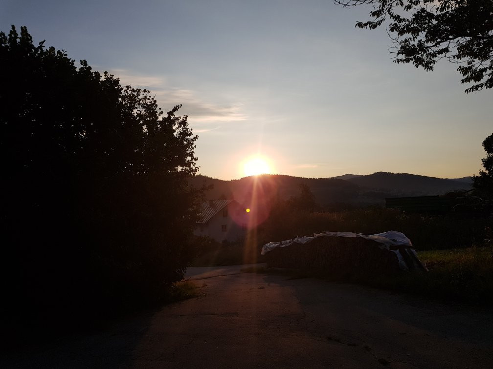 Pension Sonnleit´n - Urlaub Mit Hund