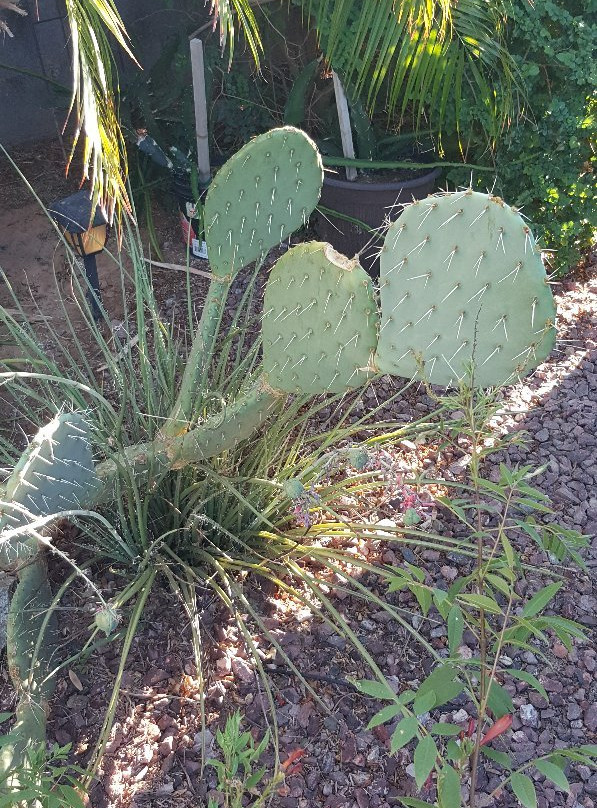 Happy Valley House主图