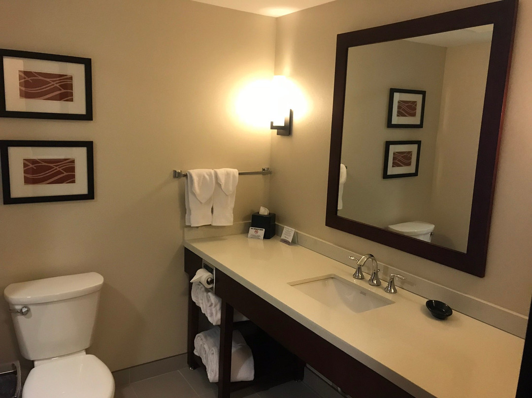 Comfort Inn & Suites Edmonton International Airport主图