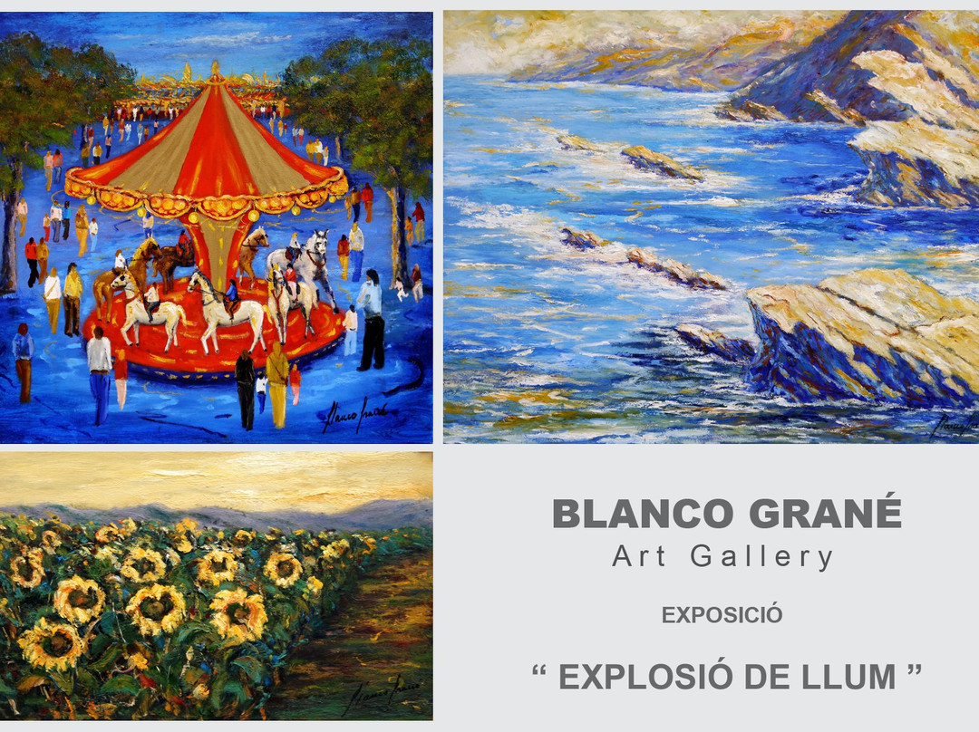 Art Gallery Blanco Grane - Tossa de Mar景点图片