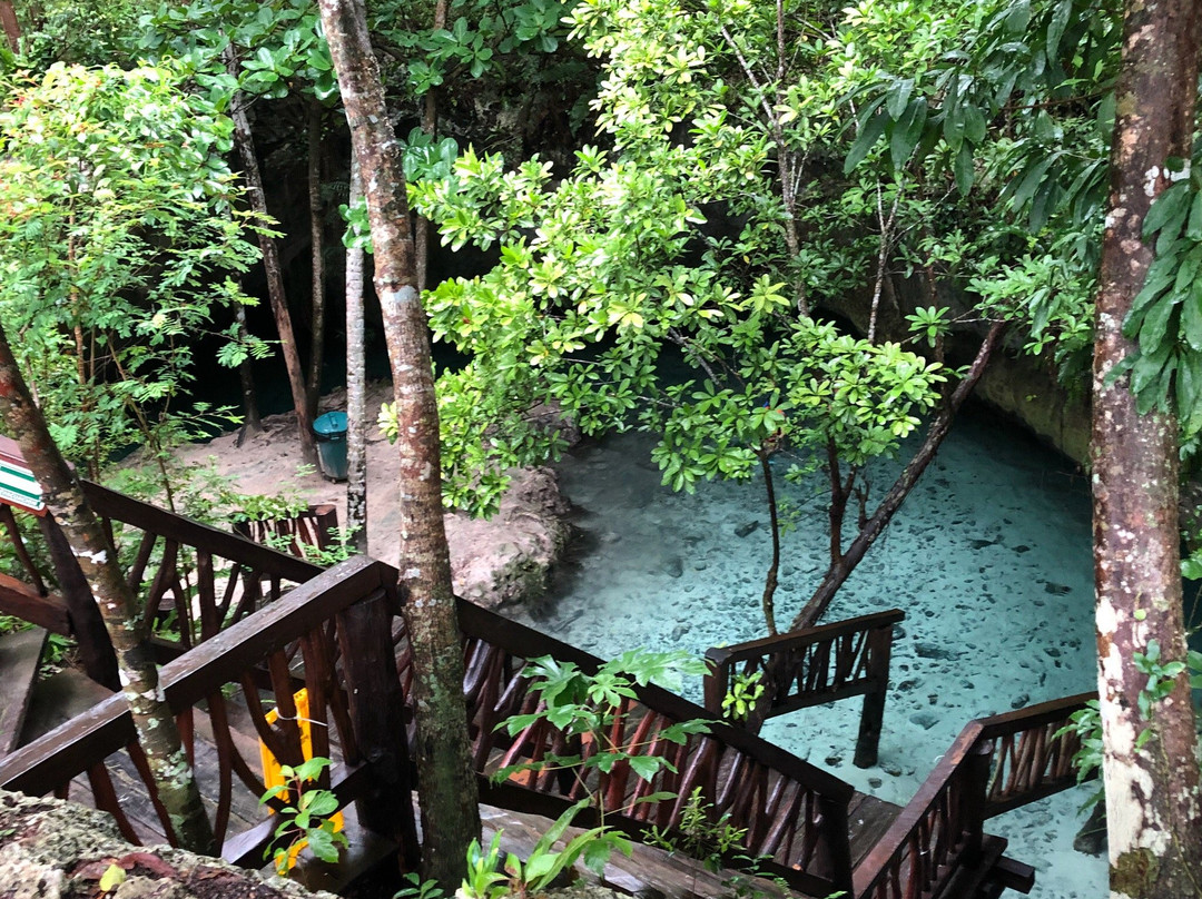 Gran Cenote景点图片