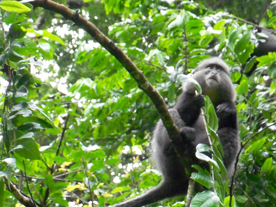 Rondo Retreat Centre主图