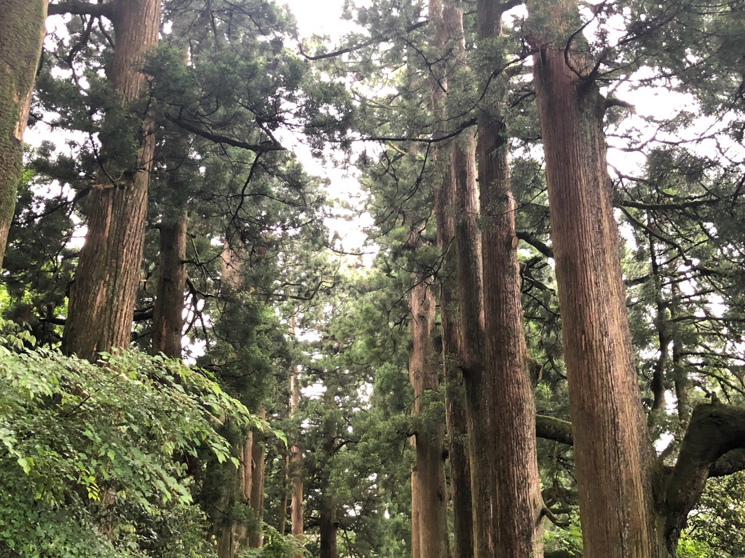 箱根旧石铺路景点图片