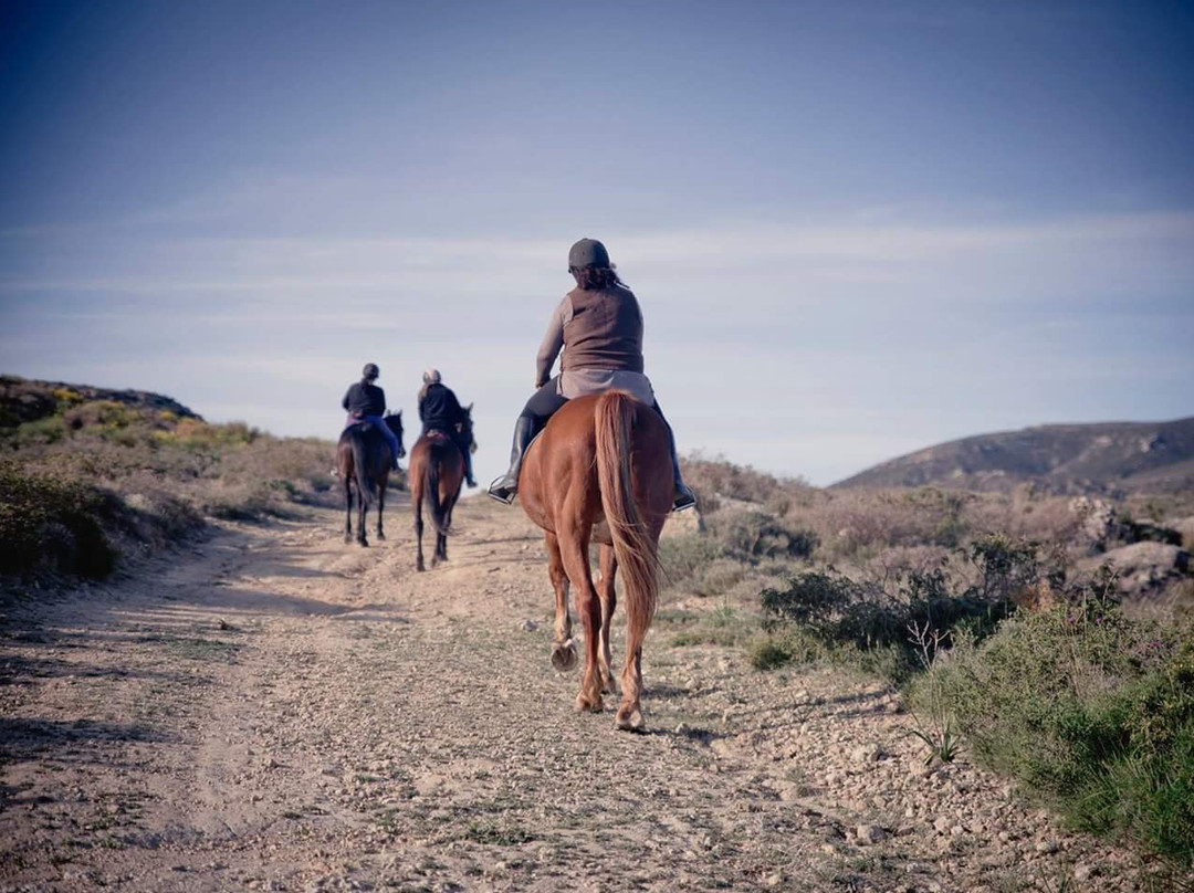 Kardamena Horse Riding Center-卡达米那必去景点