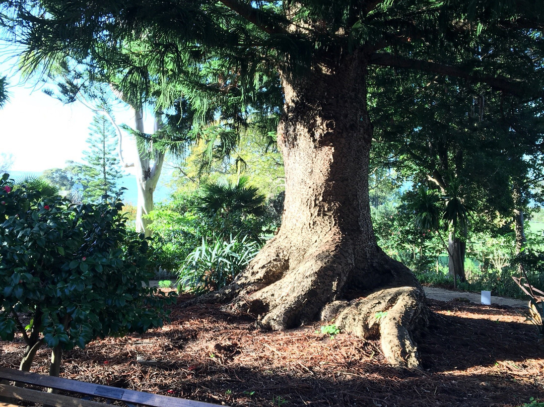 Amess House-菲利普岛必去景点