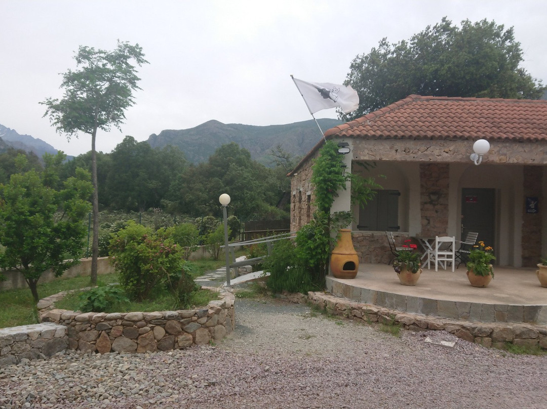 Camping E Canicce