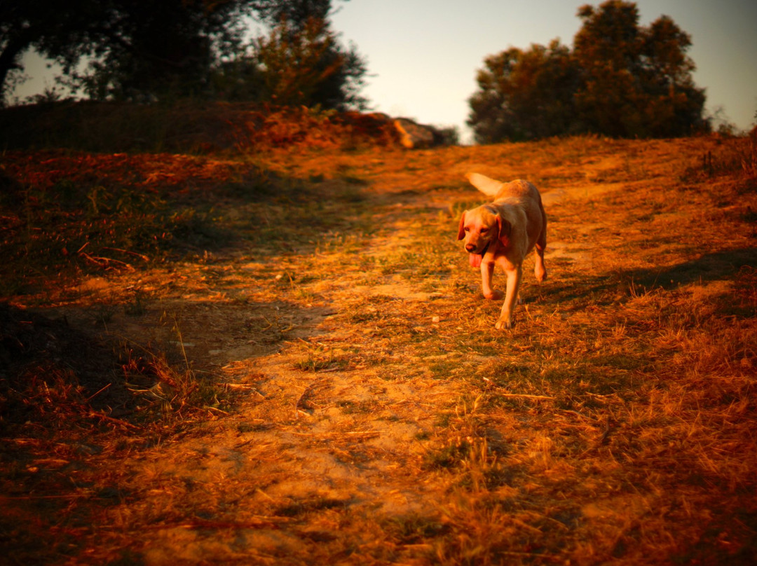 Biovilla Sustentabilidade主图