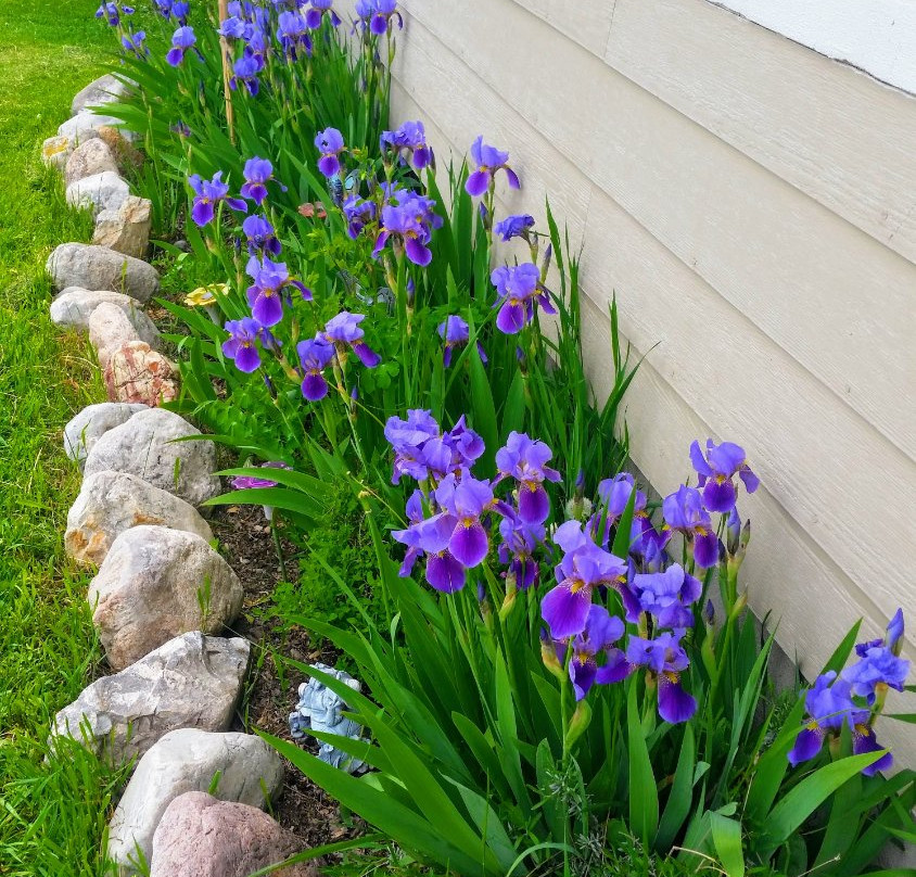 Falcon's Rest Bed and Breakfast主图