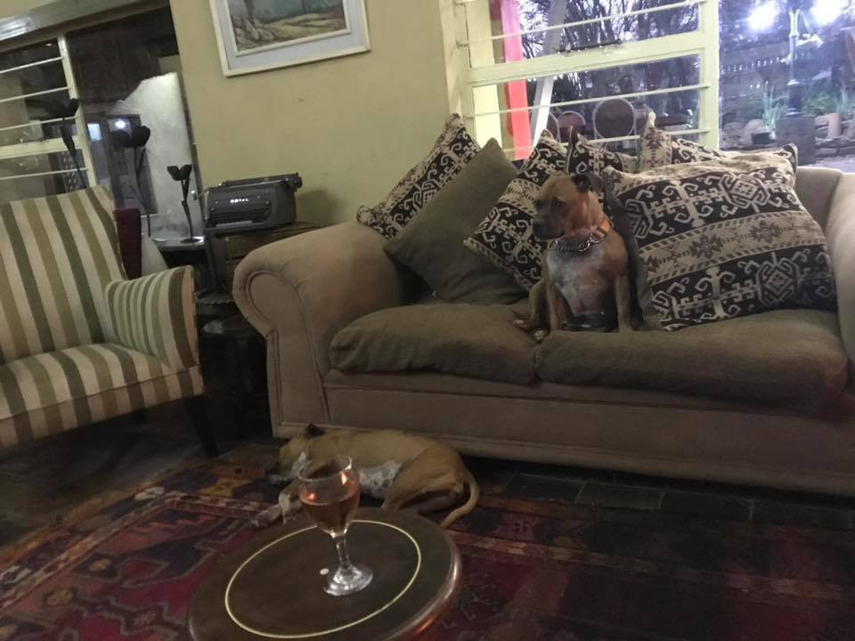 Hornbill Lodge主图