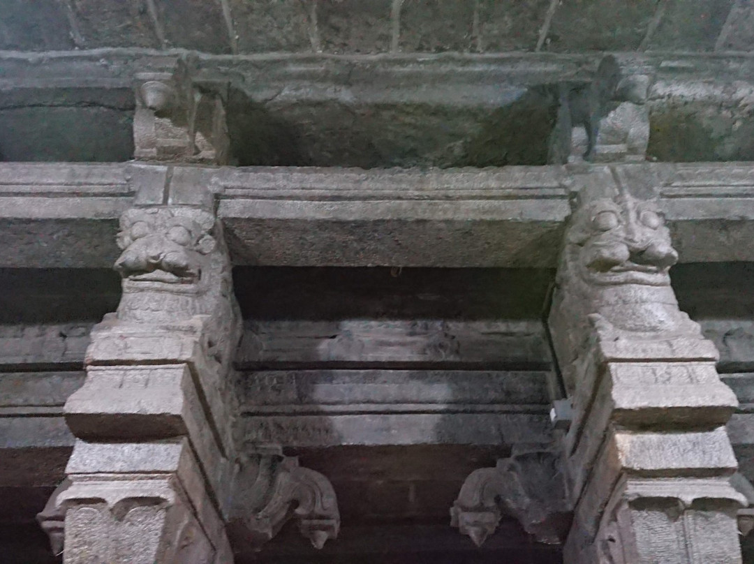 Pasupathieswarer Temple景点图片
