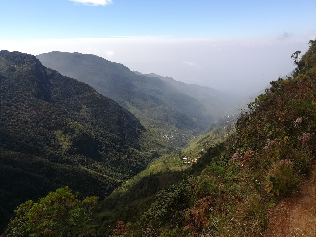 Nuwara Eliya Easy Taxi & Tours-奴娃拉伊利雅必去景点