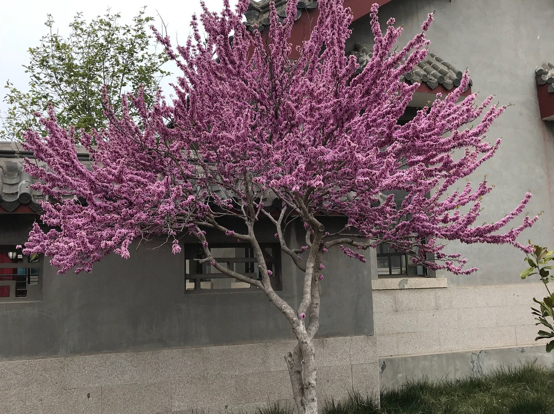 荣成花斑彩石-荣成市必去景点