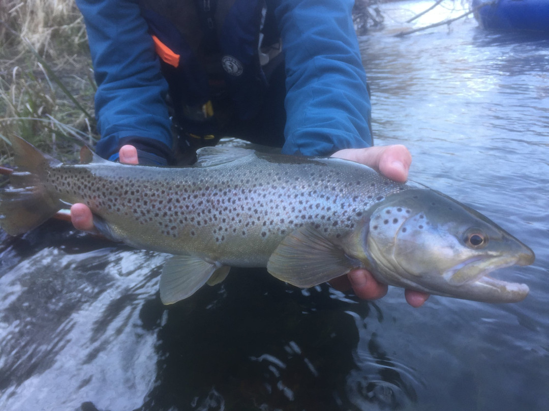 ​Steelhead Fishing Vancouver Island-桑列根湖必去景点