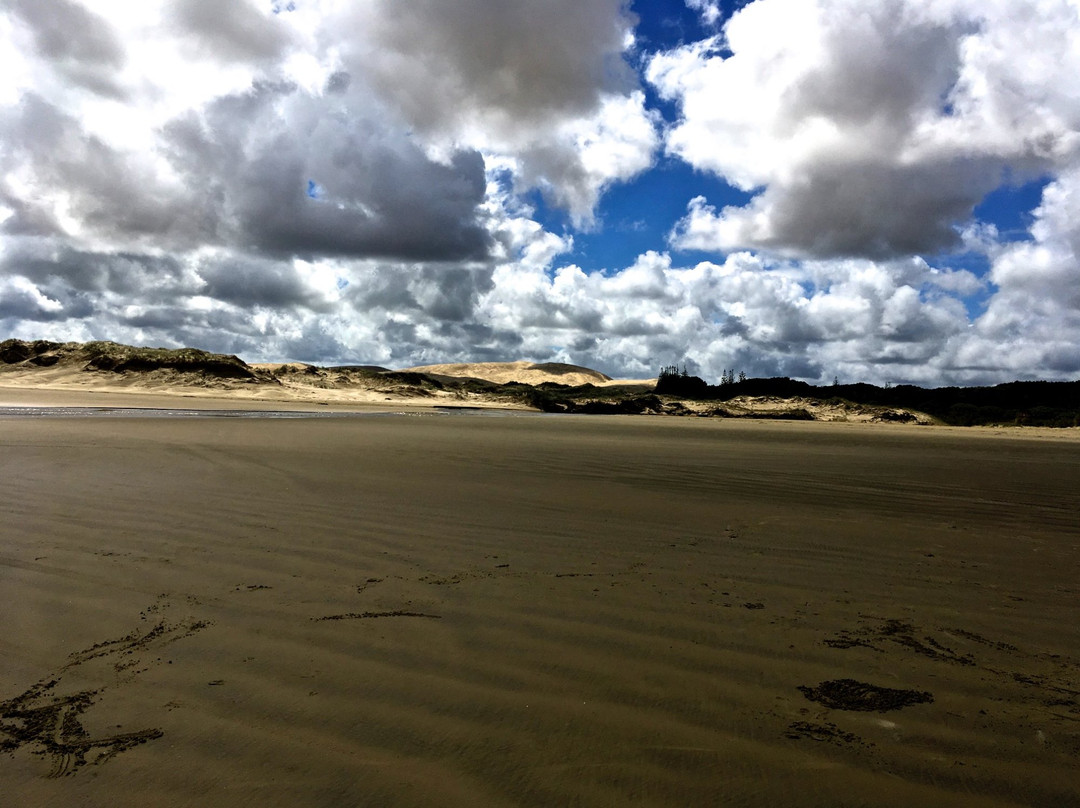 Cape Reinga Adventures Day Tours景点图片