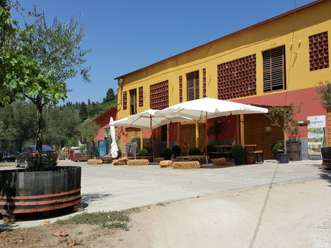 Likhota Irina Guide in Tuscany-比萨必去景点