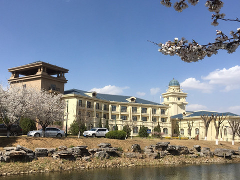 唐山南湖紫天鹅大酒店主图