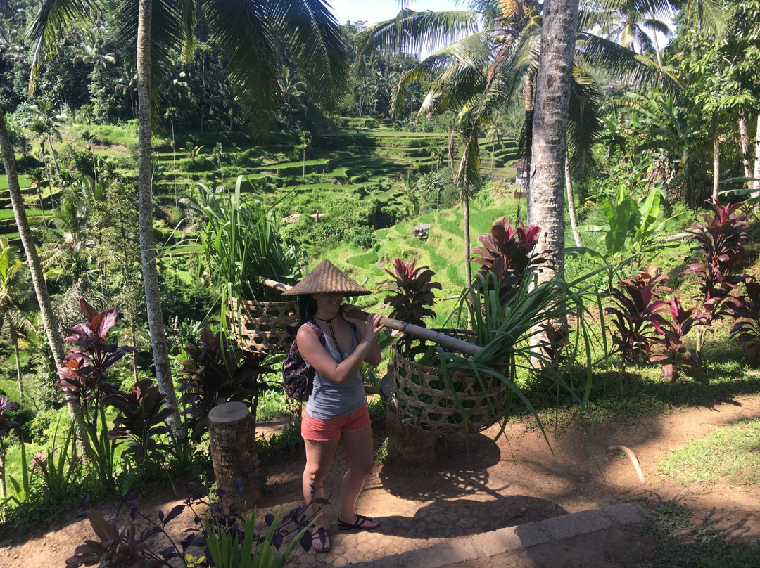 Bali Exclusive Experience景点图片