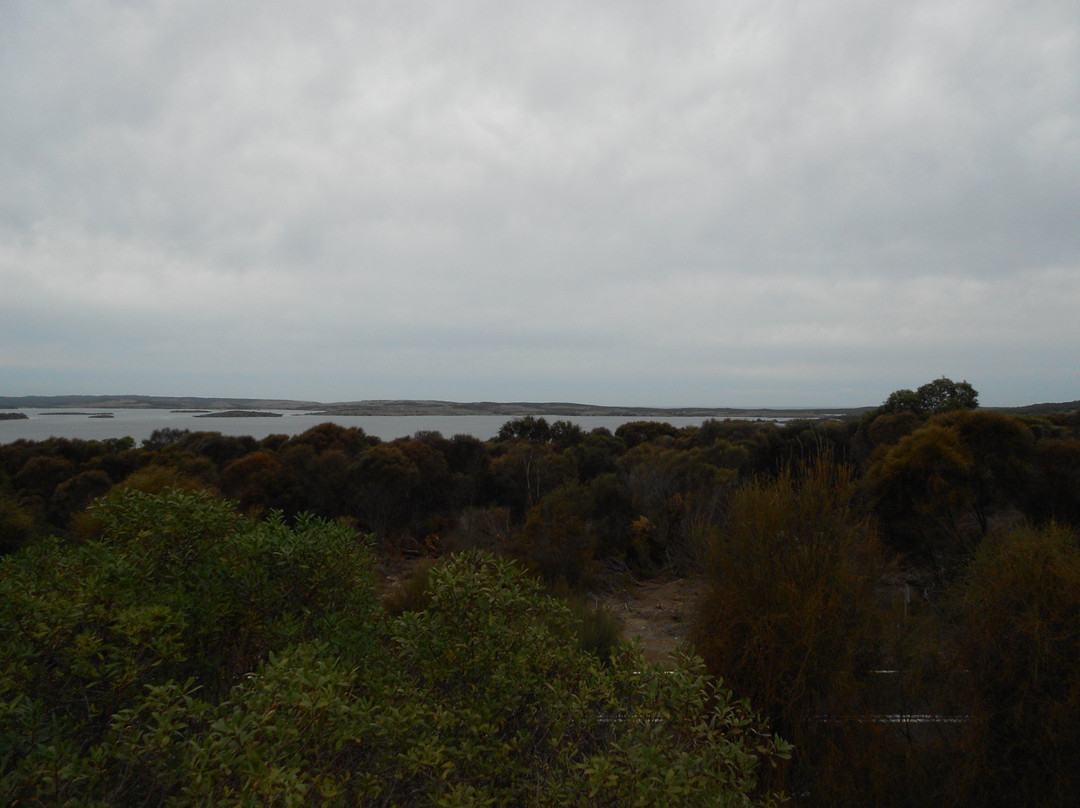 Cruising Kangaroo Island Kayak Tours-American River必去景点