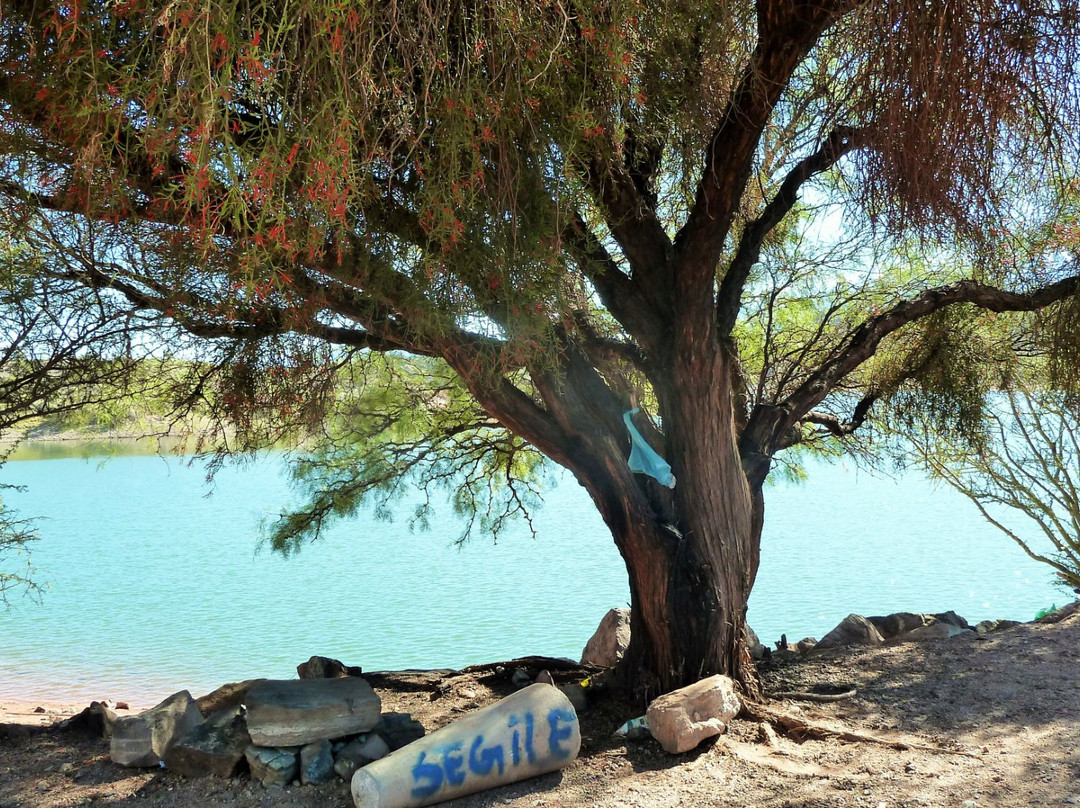 Embalse Lateral景点图片