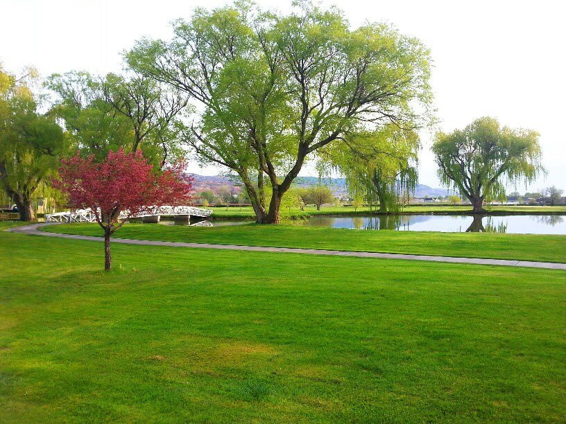 Cove View Golf Course-里奇菲尔德必去景点