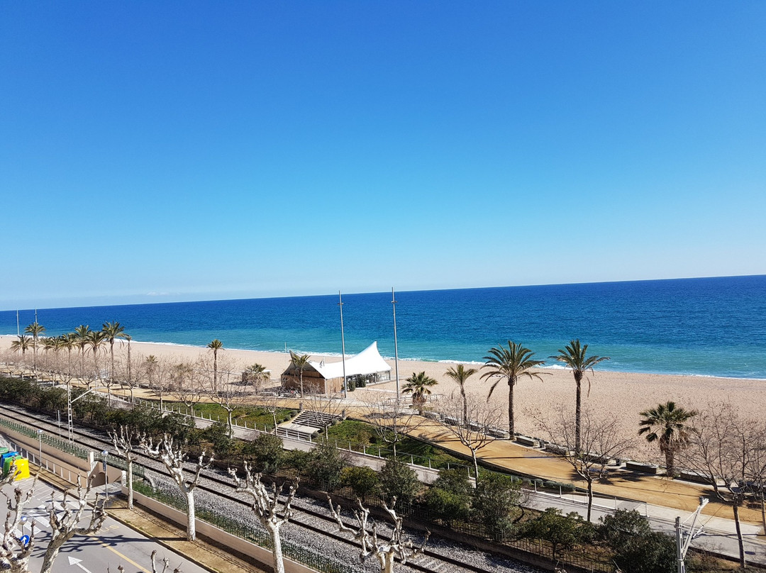 哈罗玛酒店主图