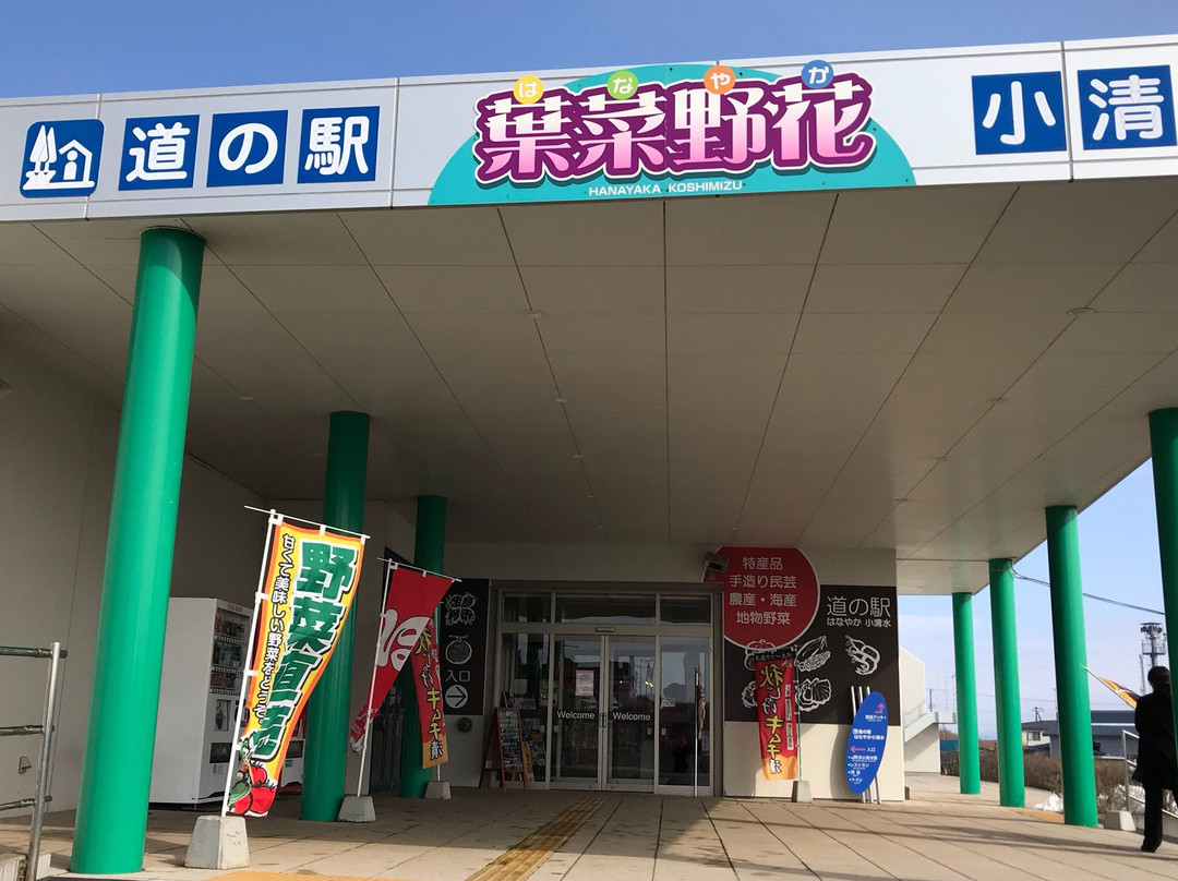 Michi-no-Eki Hanayaka Koshimizu景点图片