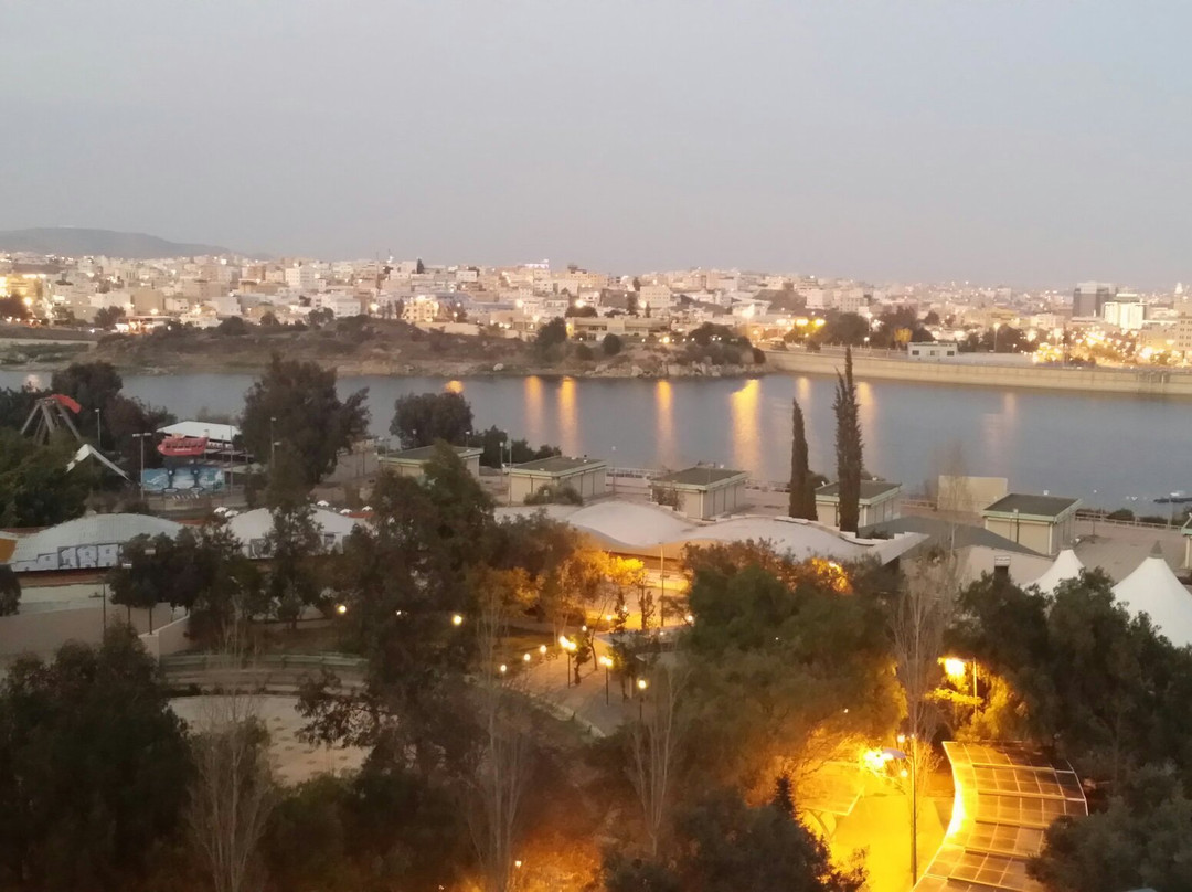 Abha Palace Hotel主图