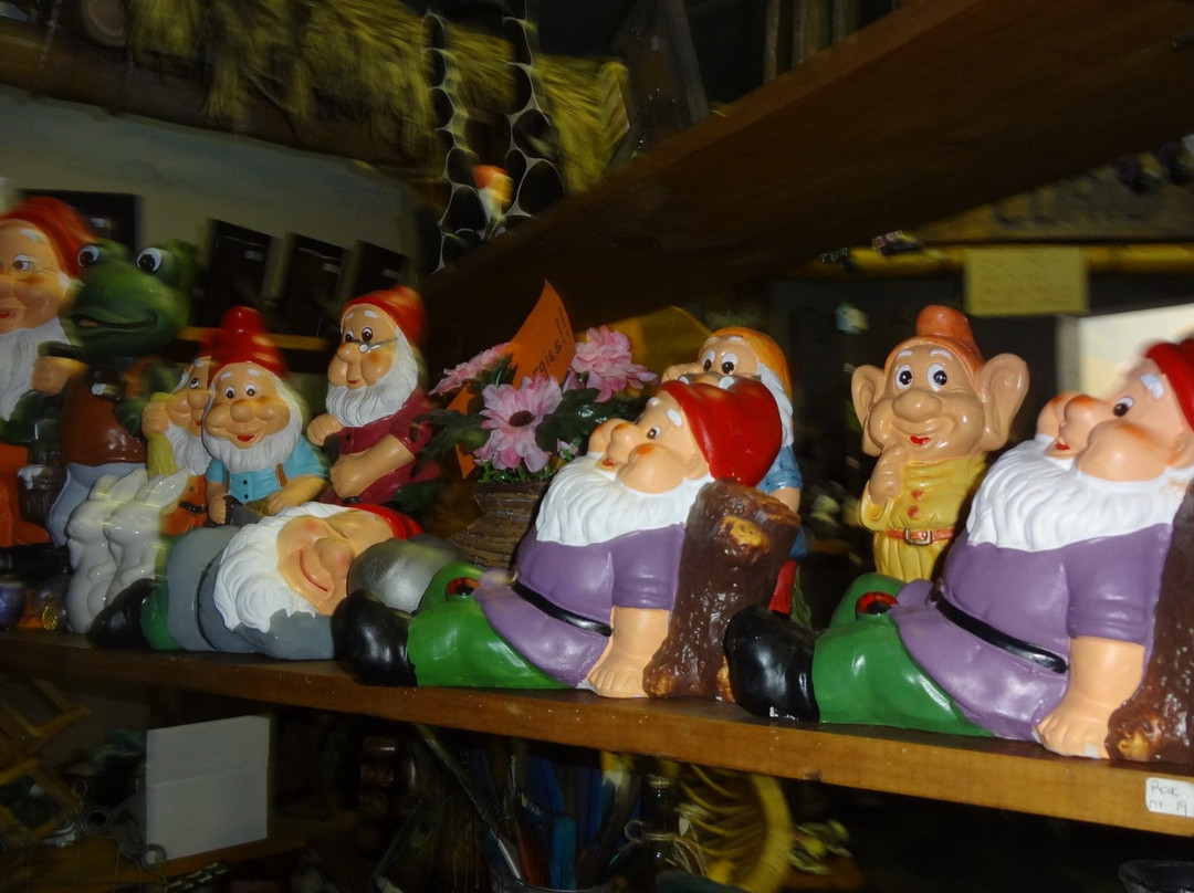 Birds Paradise-Robertson必去景点