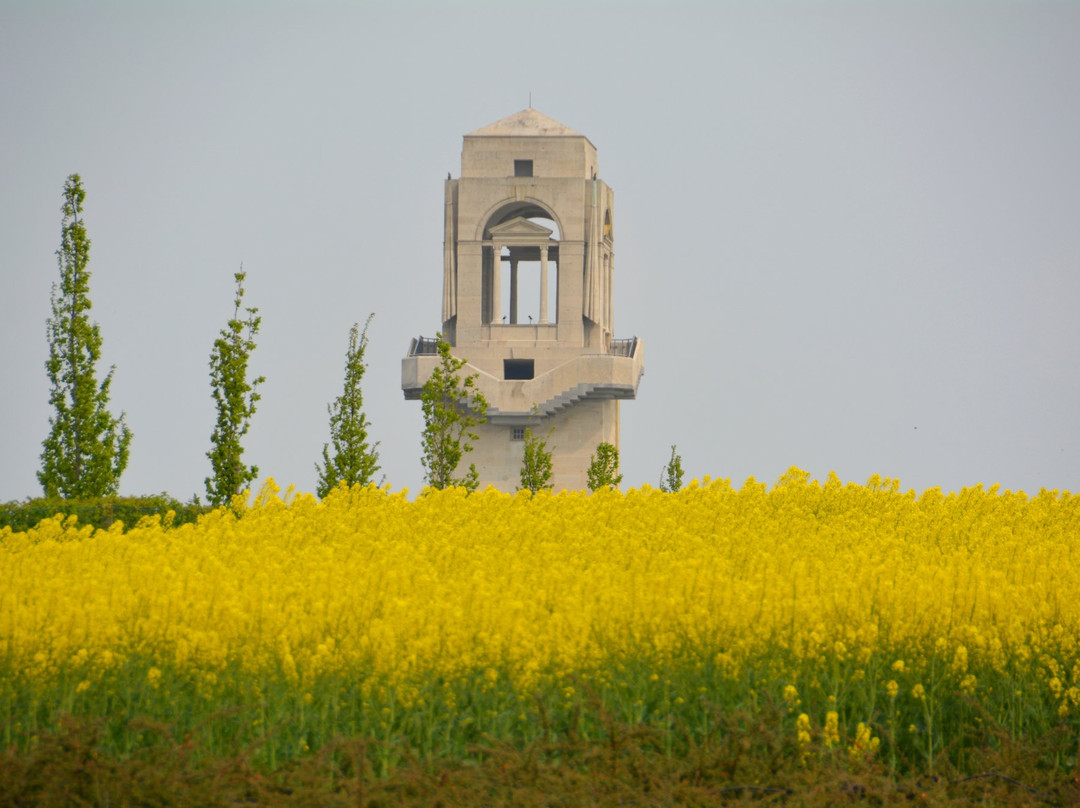 Spirit of Remembrance - Day Tours景点图片