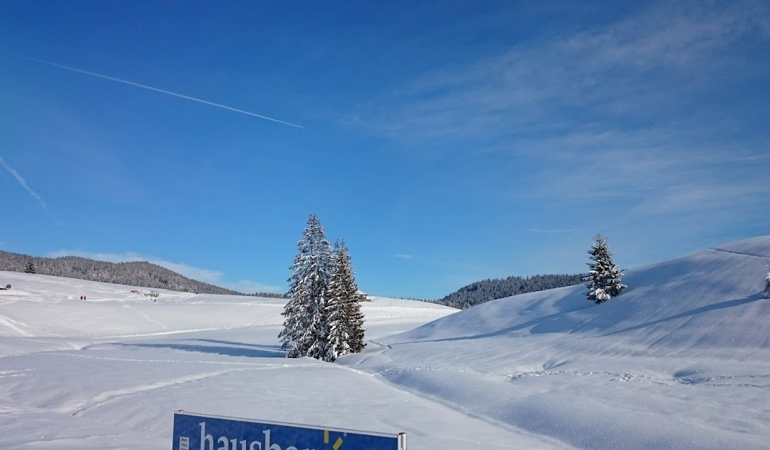 Skigebiet Winklmoosalm - Steinplatte景点图片