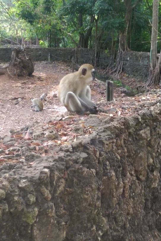 Neptune Beach Resort主图