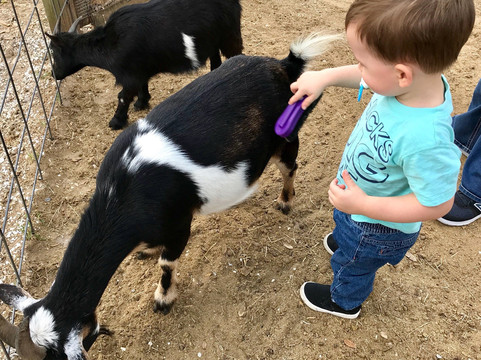 Old McMicky's Farm-Odessa必去景点