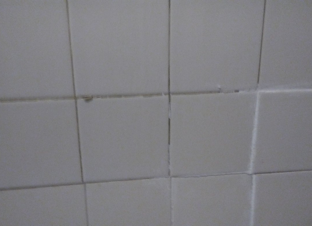 Rodeway Inn Port Richey North主图