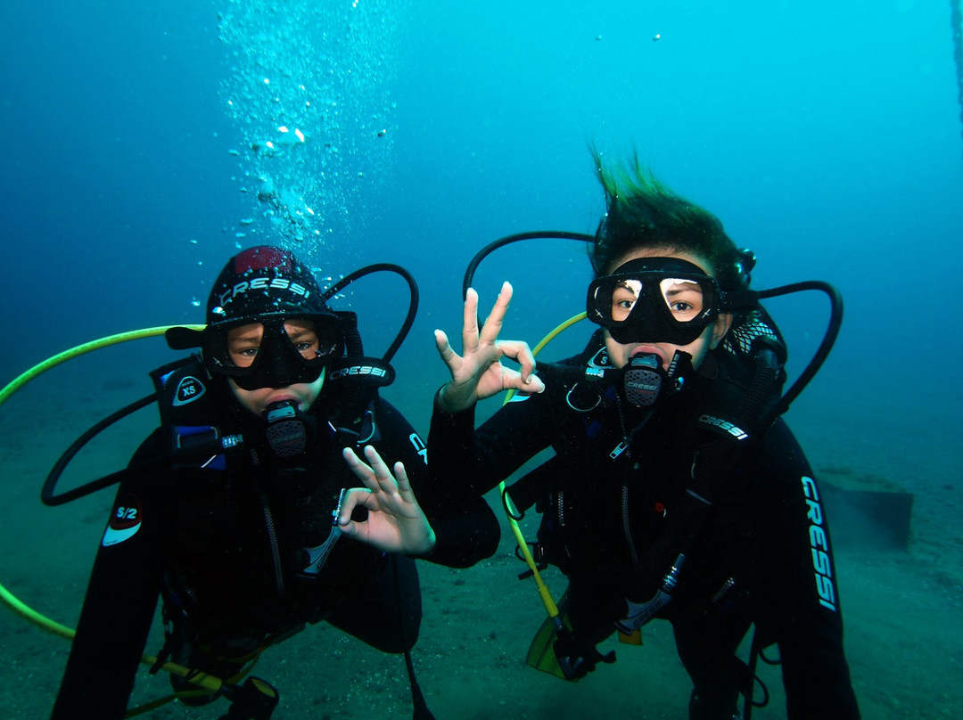 Dive Center Ocean Friends景点图片