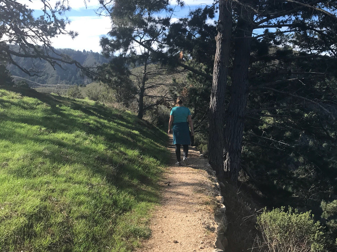 Palo Corona Regional Park-卡梅尔必去景点