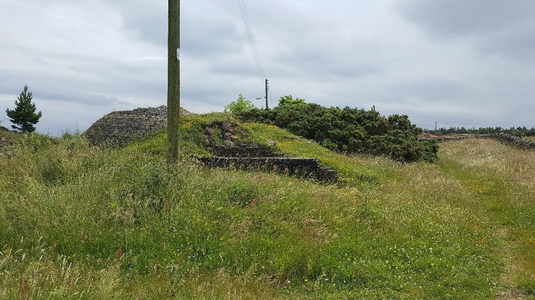 Inkerman Beehive Coke Ovens-Tow Law必去景点